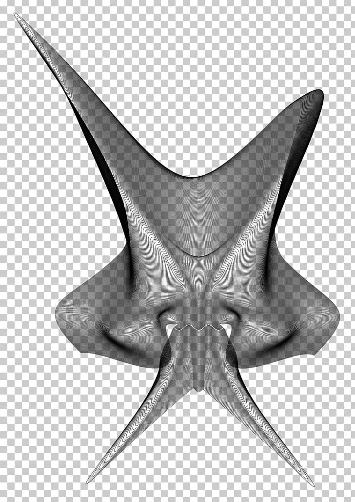 Starfish Line Symmetry Angle PNG, Clipart, Angle, Animals, Black And White, Echinoderm, Invertebrate Free PNG Download