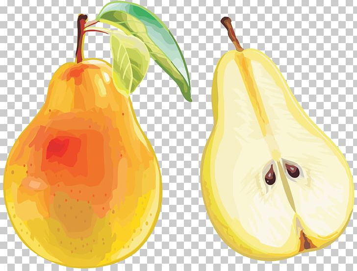 Accessory Fruit Pear Food PNG, Clipart, Accessory Fruit, Aroma, Diet Food, Digital Image, Flavor Free PNG Download