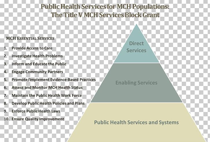 Health Care Public Health Maternal And Child Health Bureau Maternal Health PNG, Clipart, Angle, Brand, Child Care, Diagram, Disease Free PNG Download