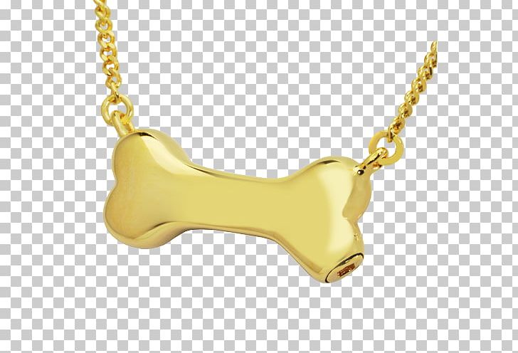 Necklace Charms & Pendants Body Jewellery Chain Metal PNG, Clipart, Body Jewellery, Body Jewelry, Chain, Charms Pendants, Dog Necklace Free PNG Download