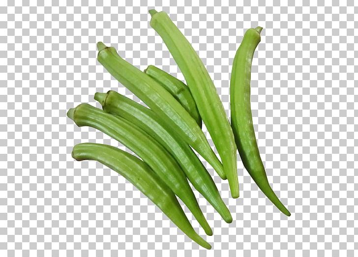 Okra Ladyfinger Vegetable Food PNG, Clipart, Bean, Bok Choy, Broccoli, Cauliflower Carrot Cucumber, Chinese Cabbage Free PNG Download