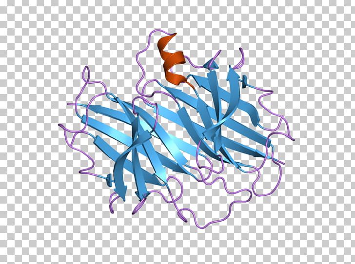 Transthyretin RNA Interference Thyroid Hormones Retinol-binding Protein Gene PNG, Clipart, Approved Drug, Area, Art, Gene, Gene Therapy Free PNG Download