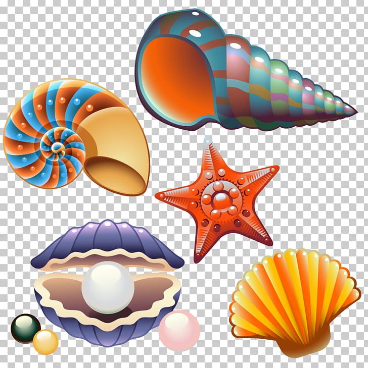 Clam Seashell Nautilidae PNG, Clipart, Class, Class Vector, Conch, Creative Background, Creative Graphics Free PNG Download