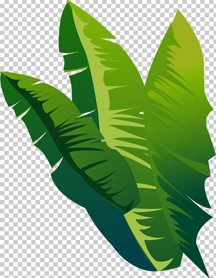 Botany Leaf Simple PNG, Clipart, Adobe Illustrator, Background Green, Banana Leaf, Botany, Decorative Free PNG Download