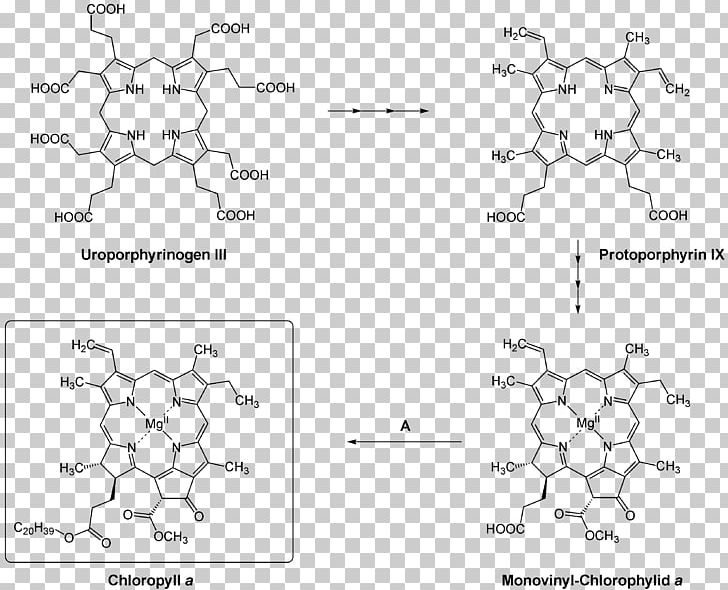 Light Chlorophyll A Chlorophyll B Absorption Spectroscopy PNG, Clipart, Absorption Spectroscopy, Angle, Area, Biological Pigment, Biosynthesis Free PNG Download