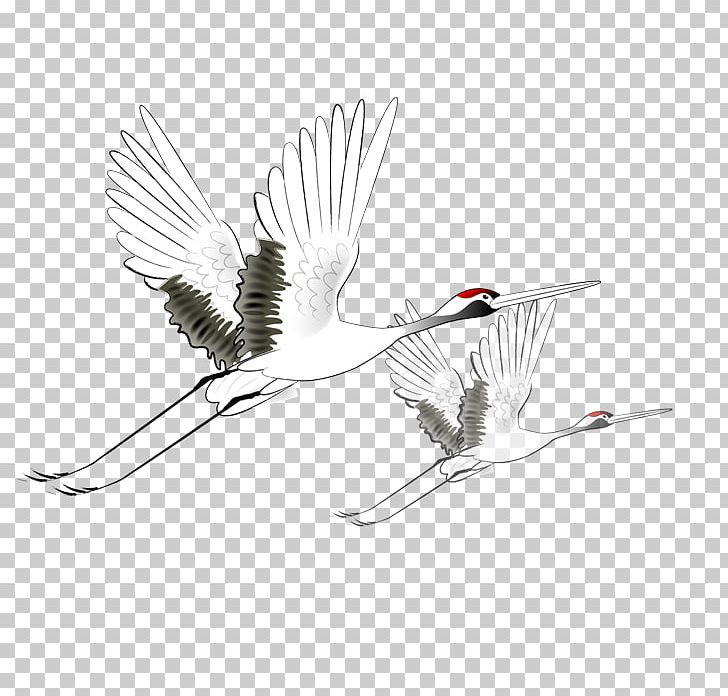 Red-crowned Crane PNG, Clipart, Art, Beak, Bird, Black And White, Chinoiserie Free PNG Download