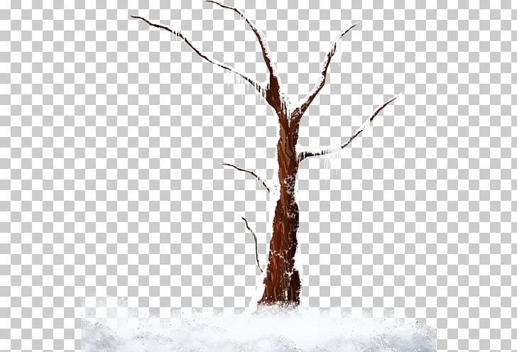 Tree Branch Snow PNG, Clipart, Branch, Dal, Encapsulated Postscript, Grass, Nature Free PNG Download