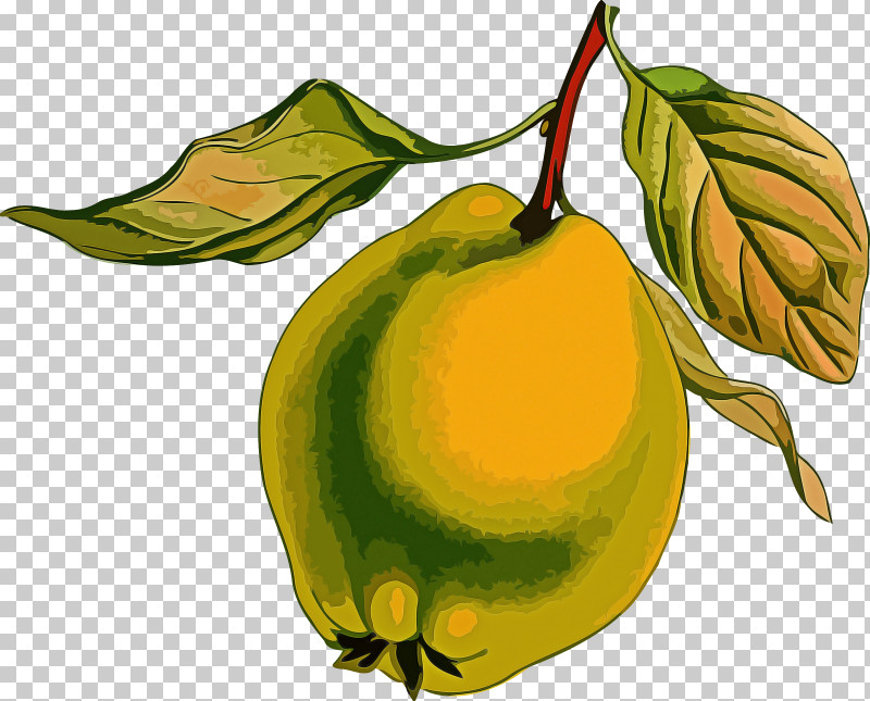 Fruit Tree PNG, Clipart, Apple, Cherry, Citrus, Flowering Quince, Fruit Free PNG Download