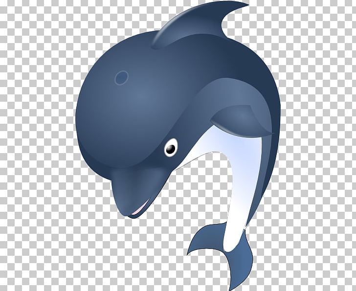Dolphin Scalable Graphics PNG, Clipart, Angle, Beak, Bicycle Helmet, Cartoon Dolphin Clipart, Dolphin Free PNG Download