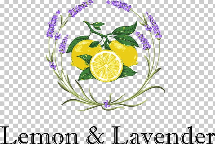 Lemon & Lavender Drawing Lemonade PNG, Clipart, Amp, Artwork, Brand, Circle, Citrus Free PNG Download