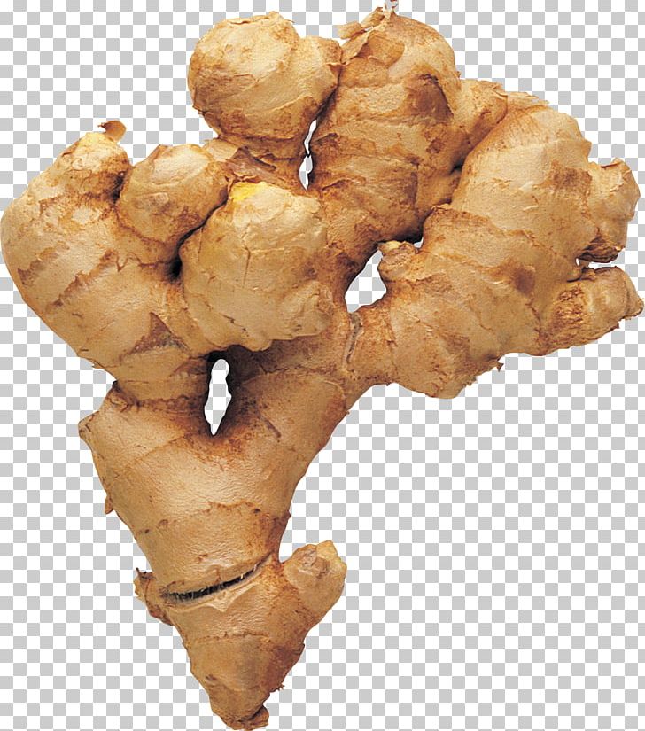 Ginger Tea Mead Root PNG, Clipart, Cooking, Food, Fried Food, Galangal, Ginger Free PNG Download