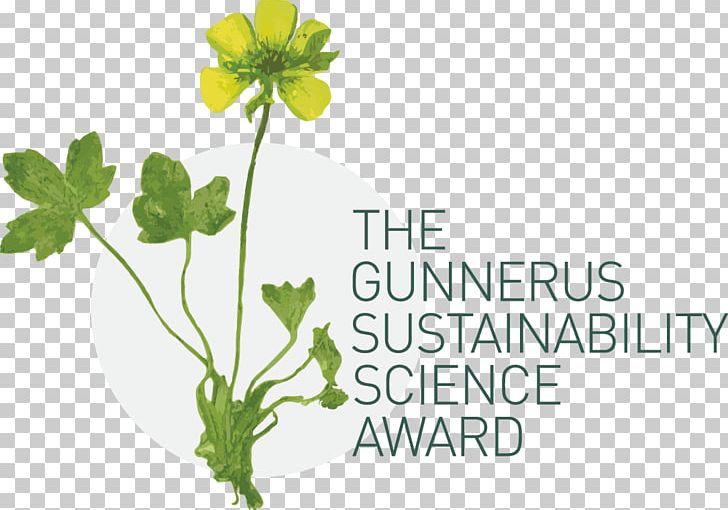 Norwegian University Of Science And Technology Gunnerus Sustainability Award Royal Norwegian Society Of Sciences And Letters PNG, Clipart, Conservation, Ecology, Education Science, Flora, Flower Free PNG Download