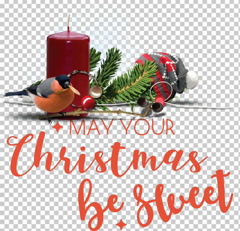 Christmas Day PNG, Clipart, Bauble, Christmas Day, Meter, Ornament, Tree Free PNG Download