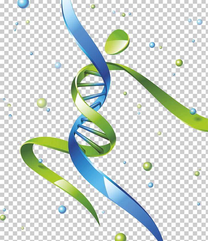 DNA Nucleic Acid Double Helix Gene Homo Sapiens PNG, Clipart, Art, Cell, Circle, Computer Wallpaper, Dna Free PNG Download