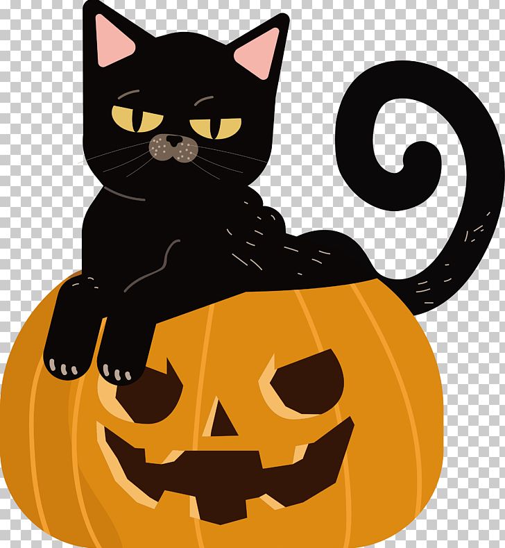 The Cat Sitting In The Pumpkin PNG, Clipart, Atmosphere, Black Cat, Calabaza, Carnivoran, Cartoon Free PNG Download