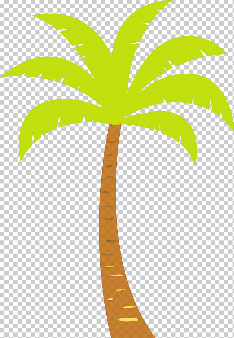 Palm Trees PNG, Clipart, Archontophoenix, Archontophoenix Cunninghamiana, Areca Palm, Beach, Cartoon Tree Free PNG Download
