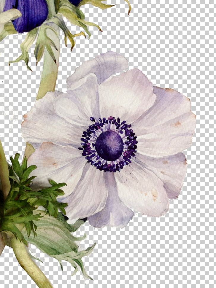 Floral Design Flower Painting PNG, Clipart, Cut Flowers, Floral, Floral Pattern, Flower Arranging, Flower Pattern Free PNG Download