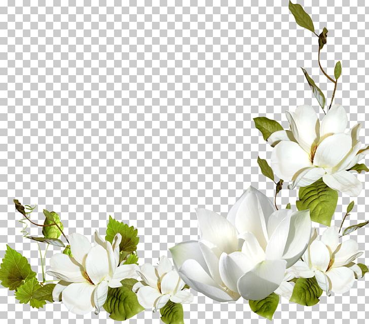 Flower Frames PNG, Clipart, Art, Blossom, Branch, Clip Art, Collage Free PNG Download