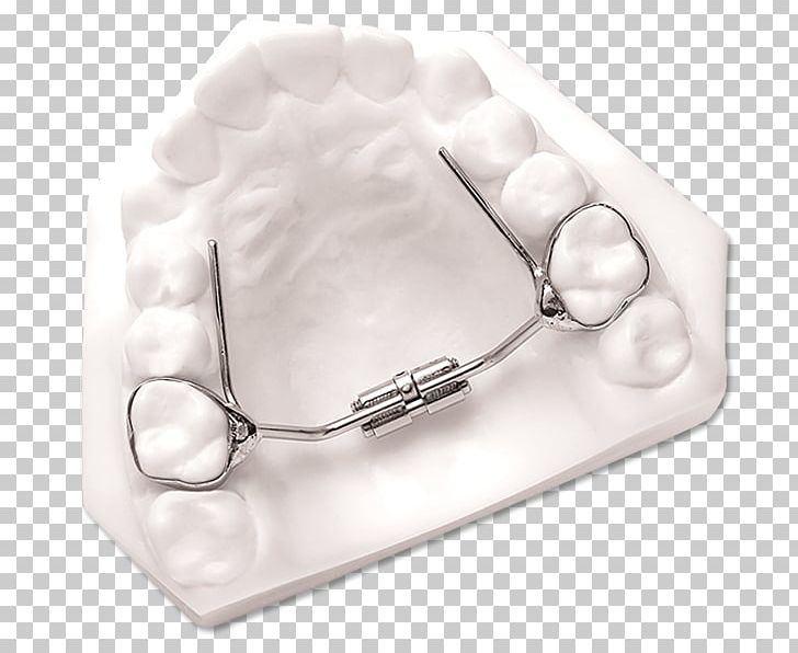 Home Appliance DynaFlex Jaw Silver PNG, Clipart, Dynaflex, Home Appliance, Jaw, Mandible, Material Free PNG Download