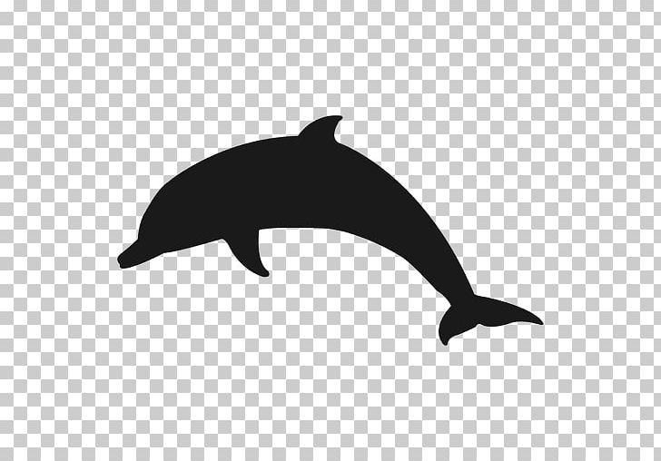 Bottlenose Dolphin PNG, Clipart, Animals, Autocad Dxf, Black, Black And White, Common Bottlenose Dolphin Free PNG Download