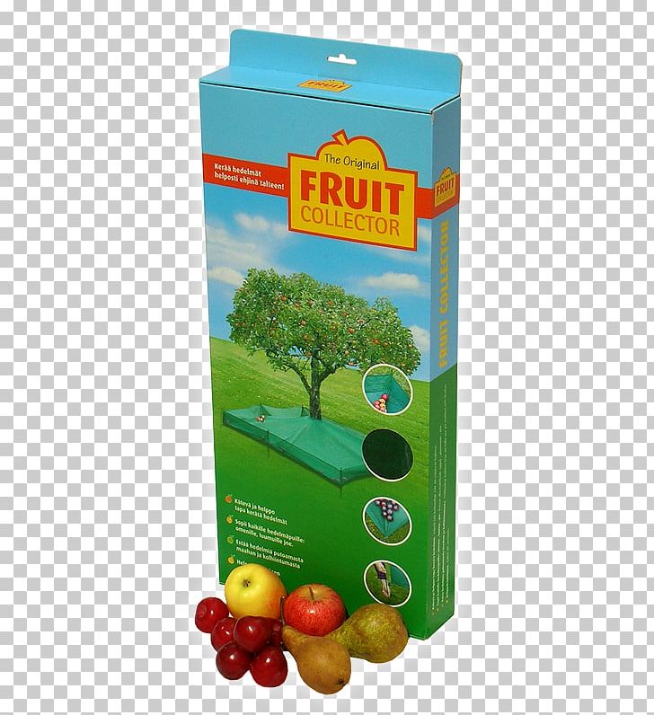 Fruit Tree Apple Plum Cherry PNG, Clipart, Apple, Cherry, Fruit, Fruit Nut, Fruit Tree Free PNG Download