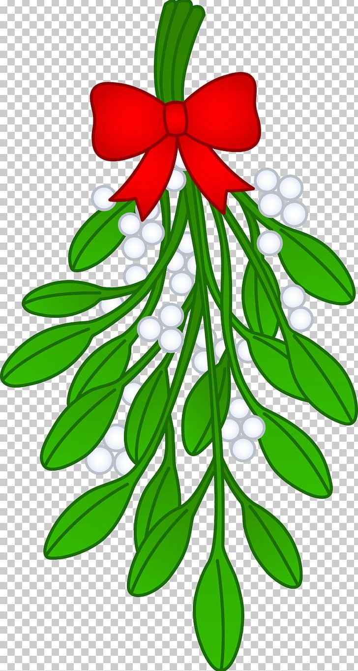 Mistletoe Drawing Phoradendron Tomentosum PNG, Clipart, Art, Artwork, Branch, Christmas, Doodle Free PNG Download