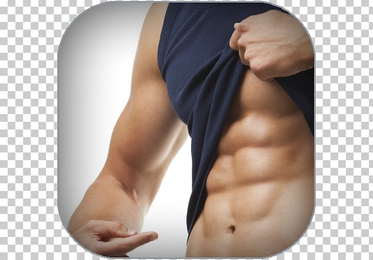 Rectus Abdominis Muscle Exercise Physical Strength Crunch PNG, Clipart, Abdomen, Abdominal Exercise, Abdominal Obesity, Abs, Anabolic Steroid Free PNG Download