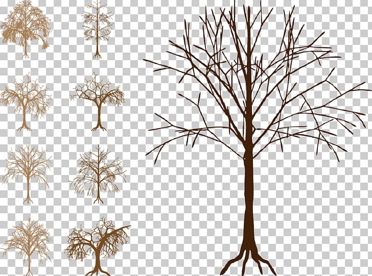 Silhouette Tree Trunk PNG, Clipart, Branch, Christmas Tree, Coconut Tree, Decor, Family Tree Free PNG Download