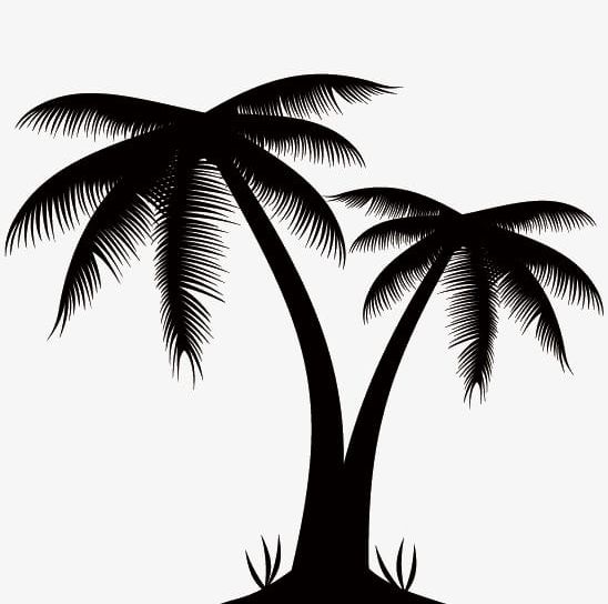 Silhouettes Of Palm Trees PNG, Clipart, Africa, African, African Flower, Americas, Flower Free PNG Download