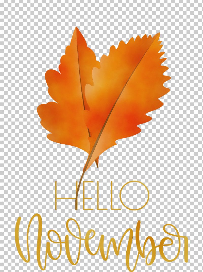 Leaf Petal Font Tree Meter PNG, Clipart, Biology, Hello November, Leaf, Meter, November Free PNG Download