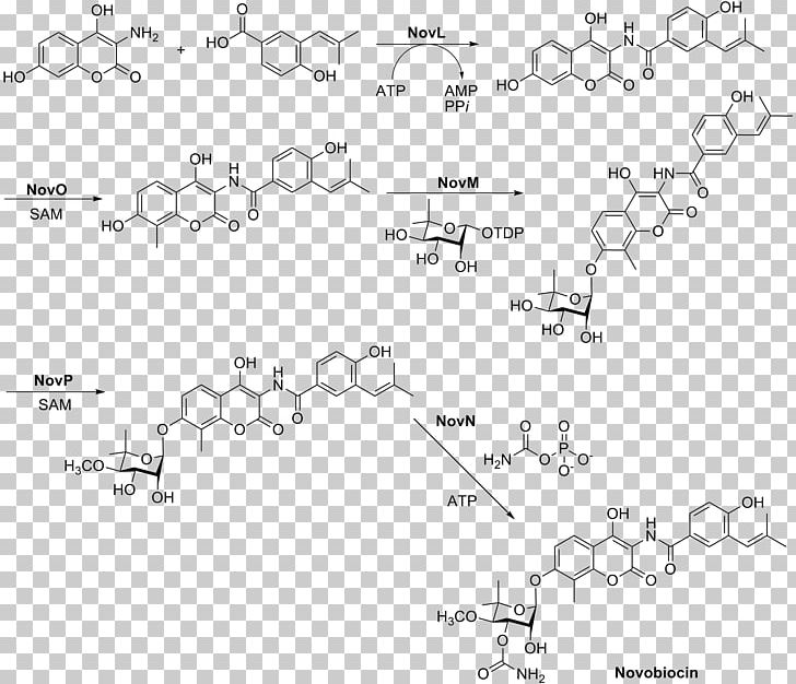 Novobiocin Chemical Synthesis Rifampicin Sulfadoxine Excretion PNG, Clipart, Angle, Bioavailability, Biosynthesis, Black And White, Chemical Synthesis Free PNG Download