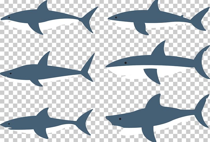 Shark Fish PNG, Clipart, Animal, Animals, Blue, Cable Puller, Cartilaginous Fish Free PNG Download