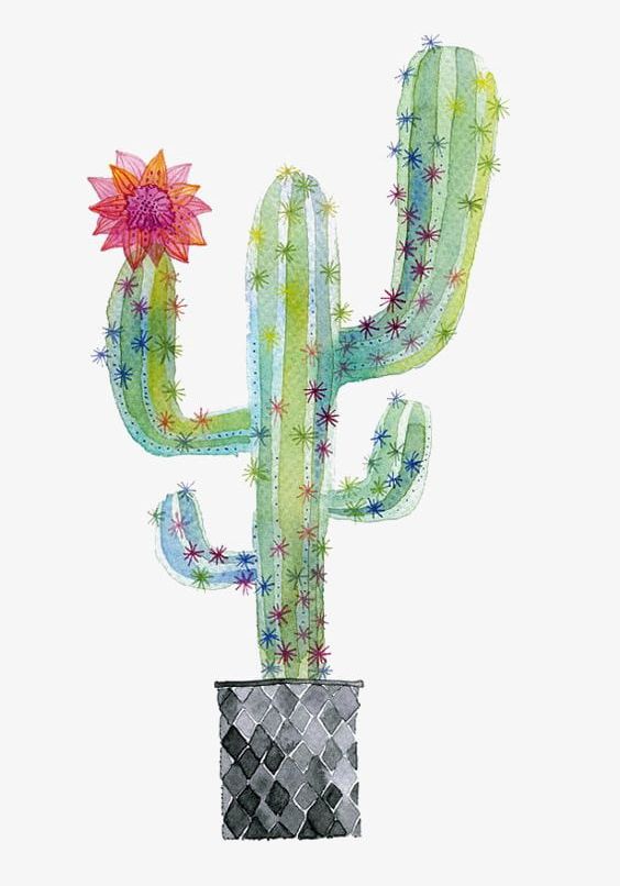 Cactus PNG, Clipart, Cactus, Cactus Clipart, Cactus Flower, Cartoon, Cartoon  Cactus Free PNG Download