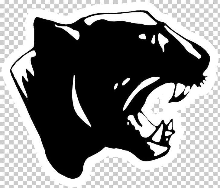 Carolina Panthers American Football Sports Pittsburgh Panthers Football Georgia State Panthers Softball PNG, Clipart, Black, Black And White, Carnivoran, Carolina Panthers, Fictional Character Free PNG Download