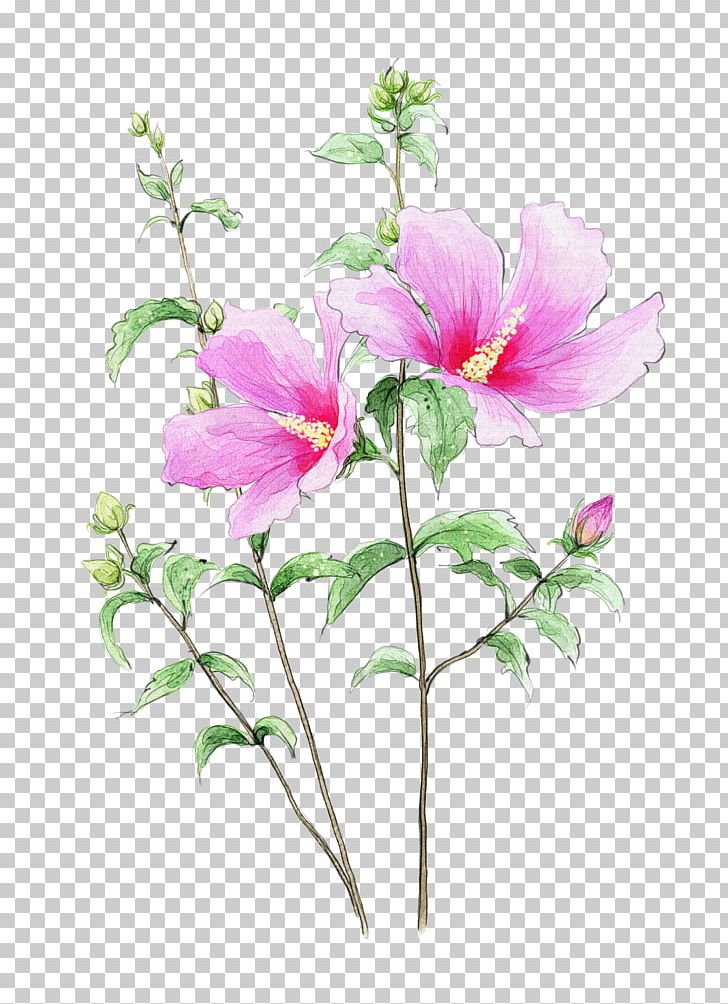 Flower PNG, Clipart, Abstract Lines, Annual Plant, Artificial Flower, Branch, Cartoon Free PNG Download