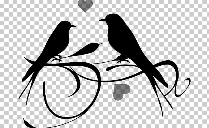 Lovebird PNG, Clipart, Art, Artwork, Beak, Bird, Black Free PNG Download