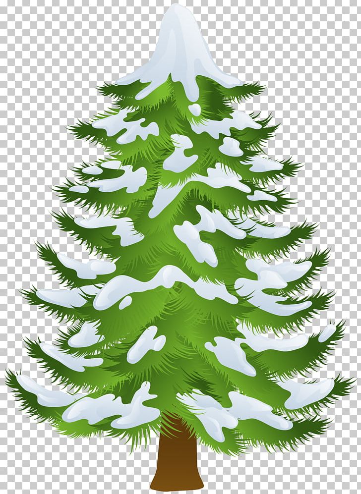 Pine Tree Winter PNG, Clipart, Branch, Christmas Decoration, Christmas Ornament, Christmas Tree, Clipart Free PNG Download