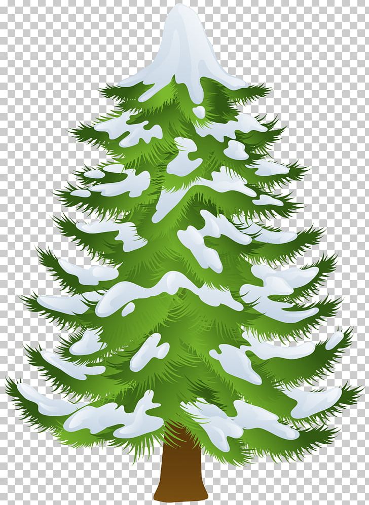 evergreen trees with snow clipart