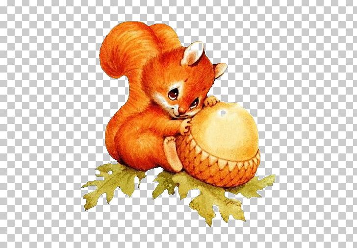 Squirrel Raccoon Chipmunk Cuteness PNG, Clipart, Animal, Calabaza, Carnivoran, Cartoon, Child Free PNG Download