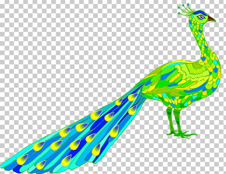 Asiatic Peafowl Feather PNG, Clipart, Animal Figure, Animals, Asiatic Peafowl, Beak, Bird Free PNG Download