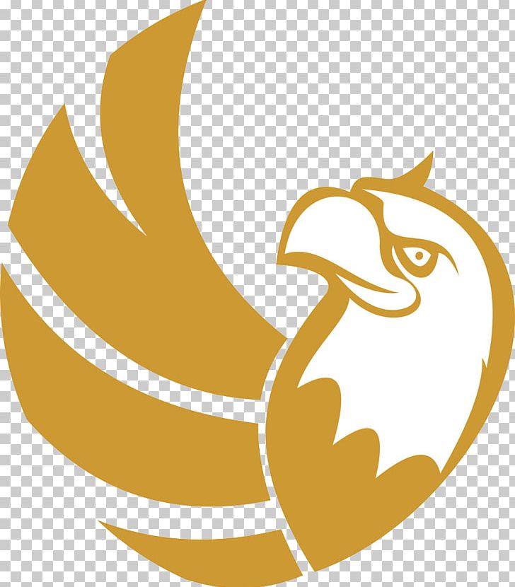 Bird Falcon Logo Eagle PNG, Clipart, American Gold Eagle, Animals, Beak, Eagle, Euclidean Vector Free PNG Download