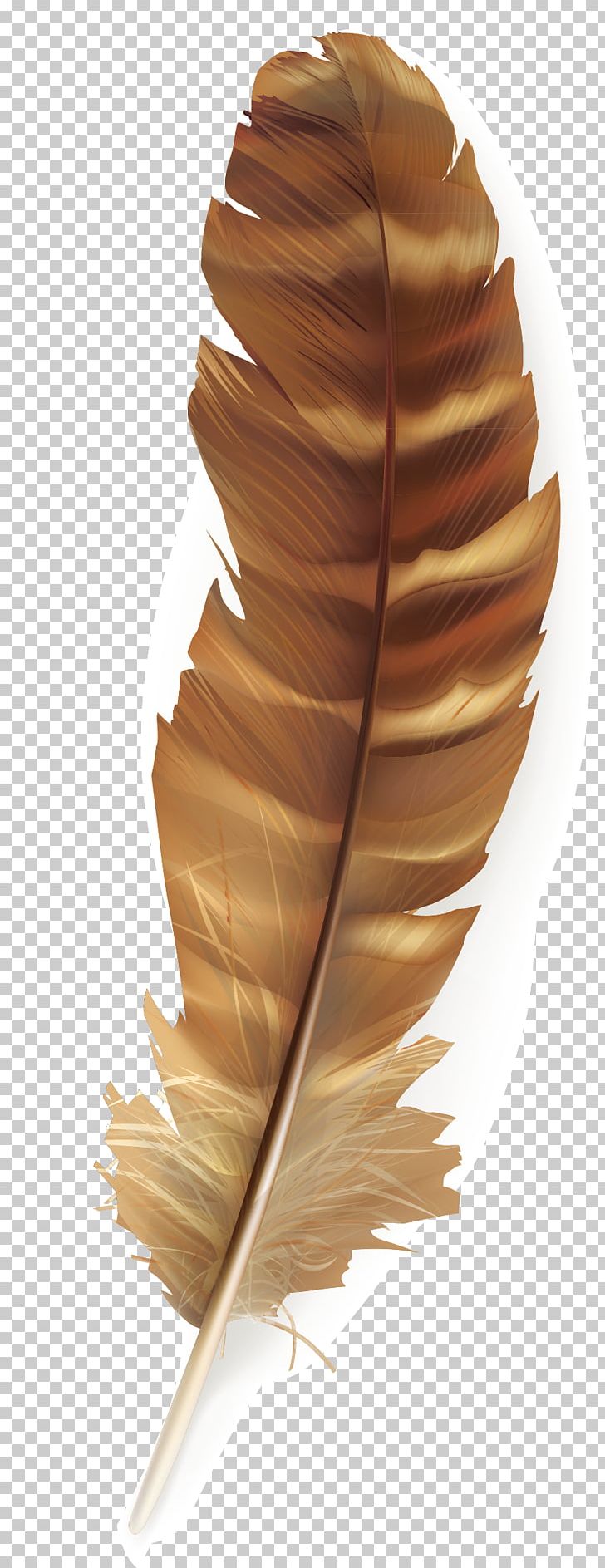 Brown Feathers PNG Image, Brown Animal Feather, Feather, Floating