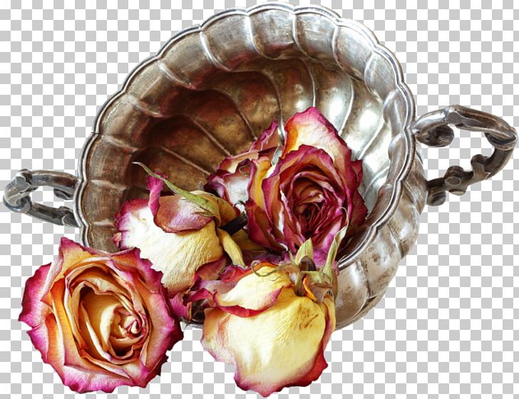 Garden Roses Stock Photography PNG, Clipart, Alamy, Artificial Flower, Cut Flowers, Floral Design, Flower Free PNG Download