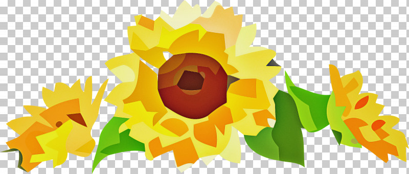 Floral Design PNG, Clipart, Border, Common Sunflower, Daisy Family, Floral Design, Flower Free PNG Download