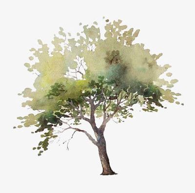 Drawing Trees PNG, Clipart, Drawing Clipart, Green, Green Leaves, Leaves, Trees Free PNG Download