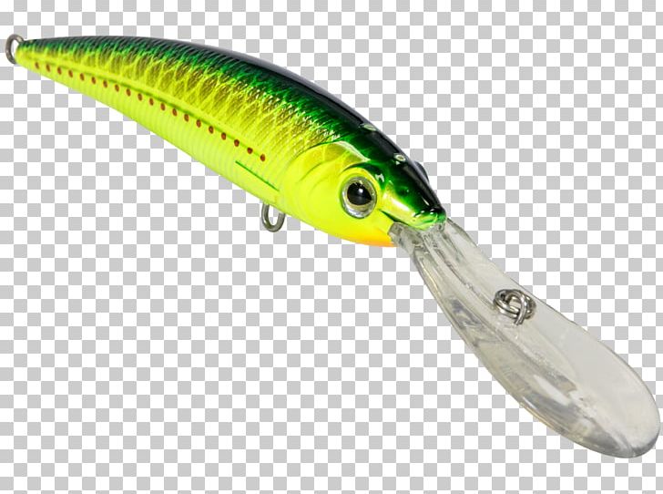 Fishing Rods Spoon Lure Fishing Baits & Lures Mexico PNG, Clipart, Bait, Copperhead, Dairy Queen, Fish, Fishing Free PNG Download
