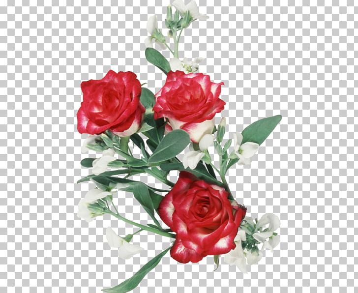 Garden Roses Floral Design Cut Flowers PNG, Clipart, Artificial Flower, Cut Flowers, Digital Image, Floral Design, Floribunda Free PNG Download