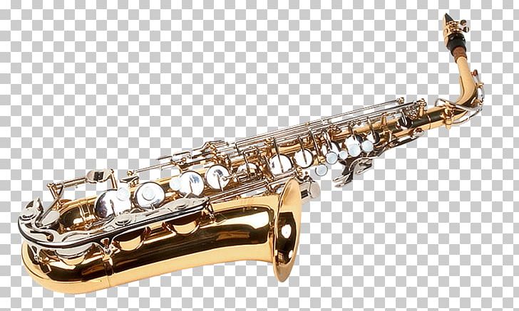 Saxophone Music Festival PNG, Clipart, Bass Oboe, Brass, Brass Instrument, Clarinet Family, Fashion Free PNG Download