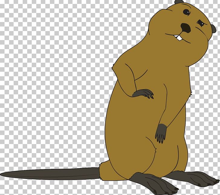 Beaver Macropodidae Rodent Canidae Mammal PNG, Clipart, Animal, Animal Figure, Animals, Beaver, Boating Free PNG Download
