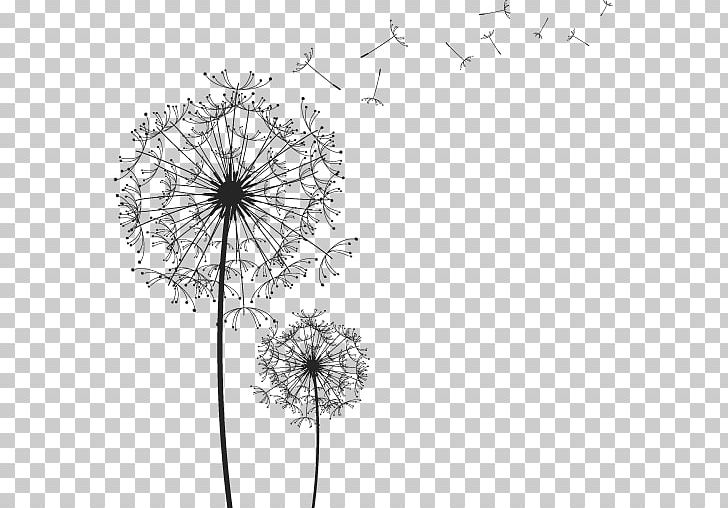 Black And White Line Drawing Dandelion PNG, Clipart, Abstract Lines, Angle, Black, Design, Encapsulated Postscript Free PNG Download